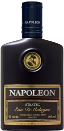 Napoleon strateg
